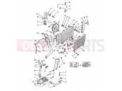 Triumph 1995 SPEED TRIPLE (CARBS) Cooling system