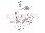 Triumph 2000 SPEED TRIPLE 885cc\955cc (EFI) > 141871 Engine Covers