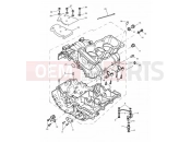 Triumph 2000 SPEED TRIPLE 885cc\955cc (EFI) > 141871 Crankcase