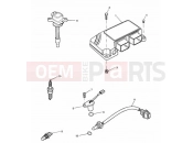 Triumph 2003 SPEED TRIPLE 141872 > 210444 Engine Management System