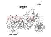 TRIUMPH SPEED TRIPLE 210445 > 461331 Bodywork Decals 333179