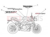 Triumph 2014 SPEED TRIPLE R > 735336 Decals 657553