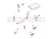 TRIUMPH SPEED TRIPLE R > 735336 Engine Management System