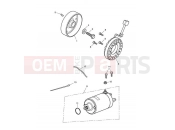 Triumph 2012 SPEED TRIPLE R > 735336 Starter & Alternator