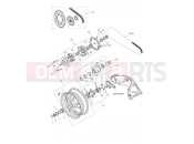 Triumph 2020 Speed Triple S Rear Wheel & Final Drive