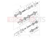 Triumph 2021 TRIDENT 660 Transmission