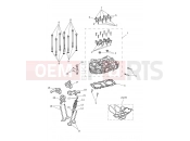 TRIUMPH THRUXTON Cylinder Head & Valves
