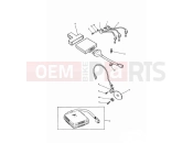 Triumph 1994 SPRINT CARBS Ignition System