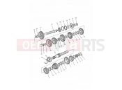 Triumph 1994 SPRINT CARBS Transmission