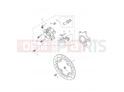 Triumph 2018 SPRINT GT Rear Brake Caliper & Disc