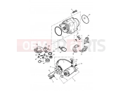 Triumph 1999 ADVENTURER Alternator & Starter