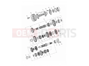 TRIUMPH THUNDERBIRD COMMANDER Transmission