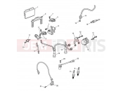 Ignition System - Triumph BONNEVILLE T100 EFI 2012
