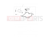 Triumph 2020 STREET SCRAMBLER Engine Service Kit