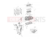 Triumph 2019 SCRAMBLER 1200 XC Cylinder Head & Valves