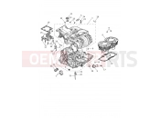 TRIUMPH SCRAMBLER 1200 XC Crankcase & Fittings