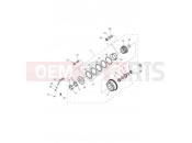 Clutch - Triumph Tiger 800 > 674841 TIGER 800 2014