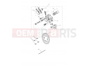 Rear Brake & Disc - Triumph Tiger 800 > 674841 TIGER 800 2014
