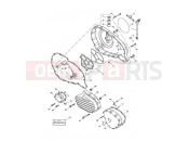 TRIUMPH SPEEDMASTER CARBS Engine Covers