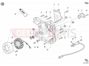 DUCATI Supersport 800 S GENERATOR COVER » IGNITION SYSTEM