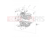 TRIUMPH TIGER 900 GT Crankcase & Fittings