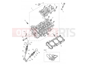 Triumph 2021 TIGER 900 Rally Cylinder Head & Valves