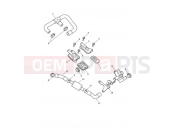 Triumph 2021 TIGER 900 Rally Emissions Control