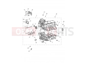 Triumph 2021 TIGER 1200 XRX Crankcase & Fittings