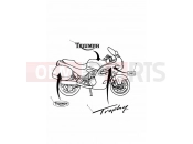 Triumph 2003 TROPHY 29156 > Bodywork - Decals