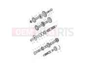 TRIUMPH SCRAMBLER EFI Transmission