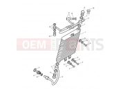 Triumph 2010 SCRAMBLER EFI Oil Cooler
