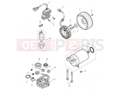 TRIUMPH SCRAMBLER EFI Starter & Alternator