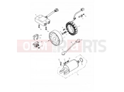 TRIUMPH TT600 Alternator & Starter 171121 »