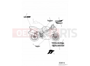 TRIUMPH TT600 Decals 111990 » » 115673