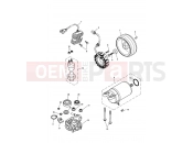 TRIUMPH THRUXTON 900 CARBS Starter & Alternator