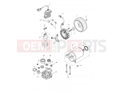 Triumph 2014 THRUXTON 900 EFI Starter & Alternator