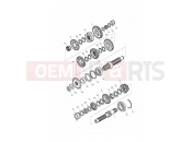 TRIUMPH THRUXTON 900 EFI Transmission