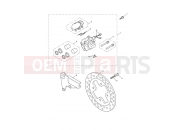 TRIUMPH THRUXTON 900 EFI Rear Brake Caliper & Disc