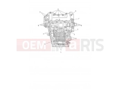 Triumph 2021 SPEED TRIPLE 1200 RS Crankcase Bolts