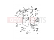 TRIUMPH AMERICA CARBS Electrical Equipment