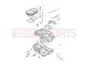 TRIUMPH AMERICA EFI Crankcase & Fittings