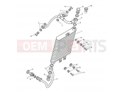 TRIUMPH AMERICA EFI Oil Cooler