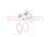 TRIUMPH TIGER 955i 198875 > Front Brake Caliper & Discs