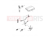 TRIUMPH Tiger 1050 Engine Management System