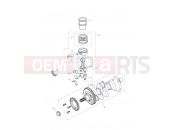 TRIUMPH Tiger 1050 Crankshaft,ConnectingRods Piston