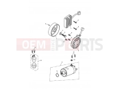 Triumph 2013 Tiger 1050 Starter & Alternator