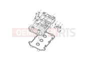 Triumph 2013 Tiger 1050 Cam Cover