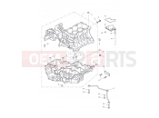 Triumph 2013 Tiger 1050 Crankcase Fixings