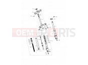 TRIUMPH DAYTONA 595 / 955i Front Forks & Yokes