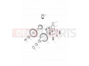 Triumph 2001 DAYTONA 595 / 955i Oil Pump/Drive